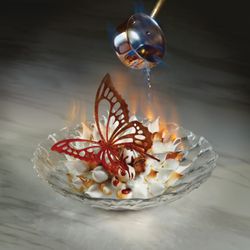 The Mayfair Supper Club