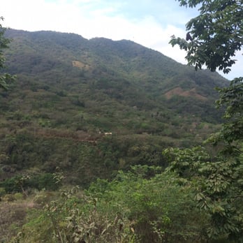 Wild Treks Adventures - On the road that leads to San Sebastián! - Tours Near Me - Puerto Vallarta, JAL