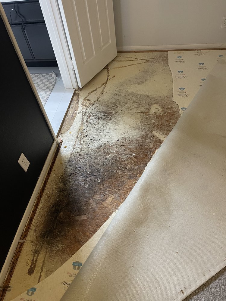 OC Mold Pros - mold inspector in San Clemente, CA