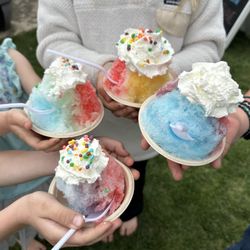 Sunny Snow Shave Ice