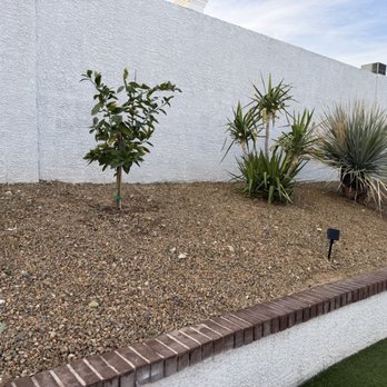 Vegas Landscaping Services - Gardeners Near Me - Las Vegas, Nevada