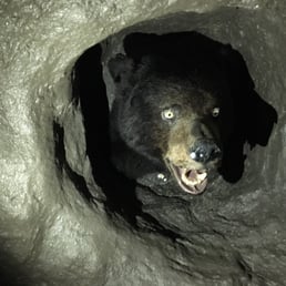 This is hiding in the play cave! This is hiding in the play cave!