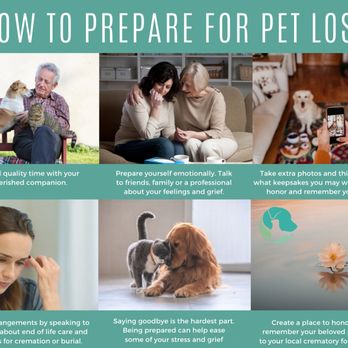 Serene Waters Pet Cremation - Pet Cremation Services Near Me - Prescott, Arizona Serene Waters Pet Cremation - Pet Cremation Services Near Me - Prescott, Arizona