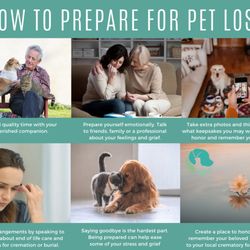 Serene Waters Pet Cremation