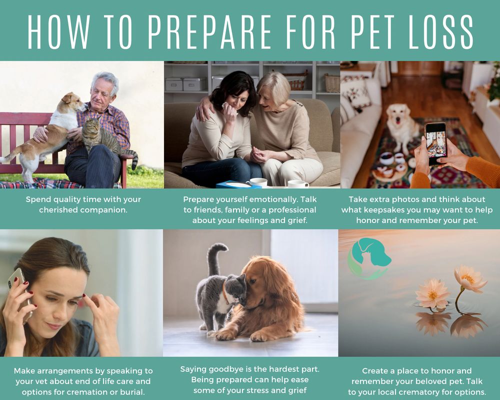 Serene Waters Pet Cremation Image