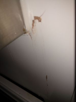 Church's Lumber Yards