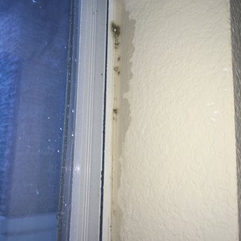 Bexley At Silverado - Apartments Near Me - Cedar Park, Texas