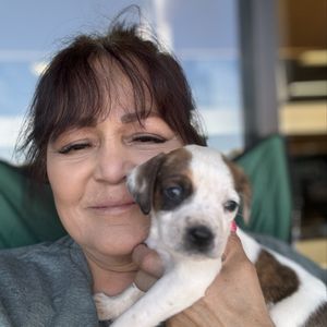 PETS-R-US - Updated February 2026 - 54 Photos & 77 Reviews - 10913 Elm ...