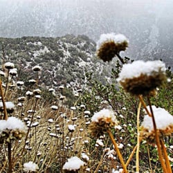 Third Stream Falls - Snow on the trail!