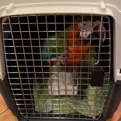 FloridaWild Veterinary Hospital