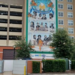 Adventhealth Sports Med And Rehabilitation Training center - Really cool mural outside the building.