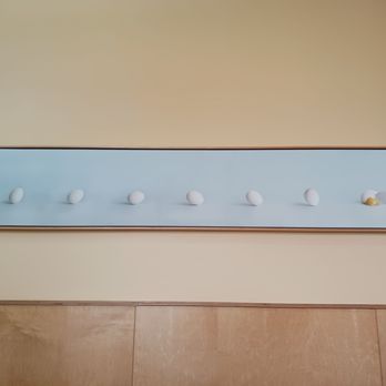 Wild Eggs - Wild Egg wall art - Breakfast & Brunch Near Me - Louisville, Kentucky