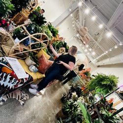 The Plant Project - Plants galore