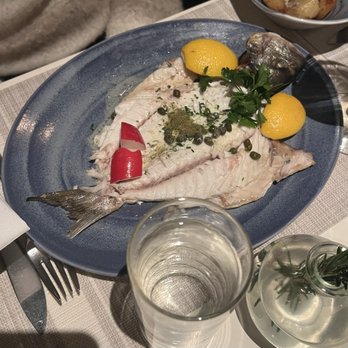 Elia Mediterranean Restaurant - Seafood special - Mediterranean Near Me - East Rutherford, New Jersey