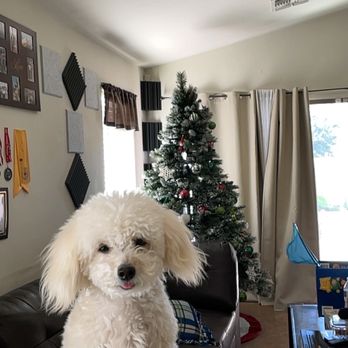 Fido's Playhouse - Uni - Pet Groomers Near Me - Tucson, Arizona