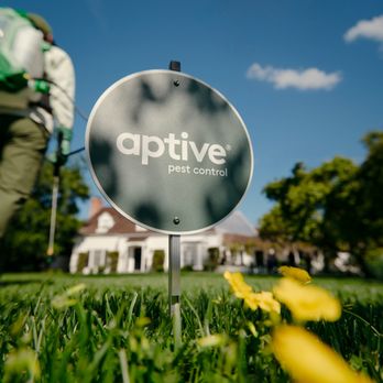 Aptive Pest Control - Aptive pest control service - Pest Control Near Me - Orlando, Florida