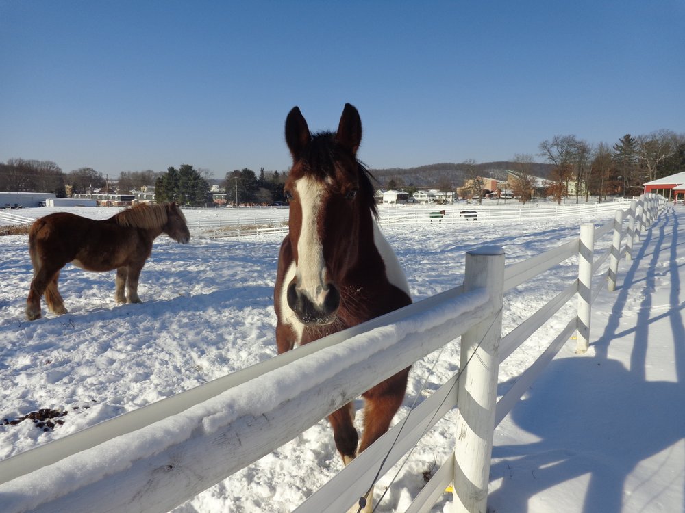 GLADE RUN ADVENTURES Updated August 2024 30 Glade Run Dr