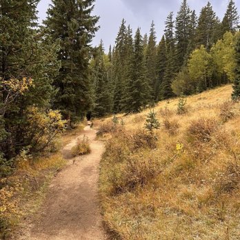 The Crags Campground - Campgrounds Near Me - Divide, Colorado The Crags Campground - Campgrounds Near Me - Divide, Colorado
