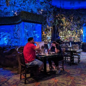 Rainforest Cafe - American Near Me - Sunrise, Florida Rainforest Cafe - American Near Me - Sunrise, Florida