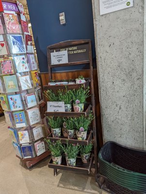 Whole Foods Market by null