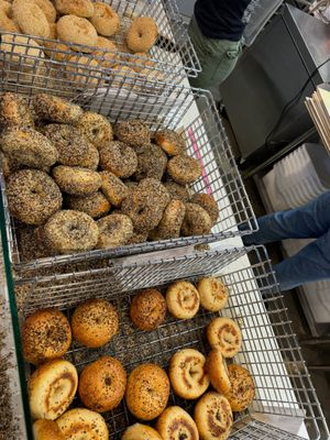 Hey Bagel by null