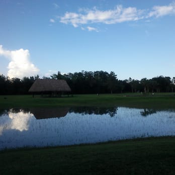 Big Cypress RV Resort & Campground - Summer view of chickee - RV Parks Near Me - Clewiston, Florida