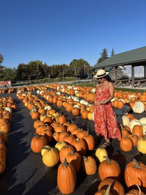 Rulfs Orchard by null