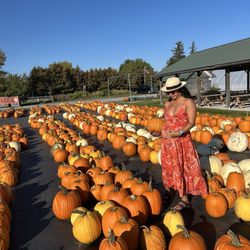 Rulfs Orchard