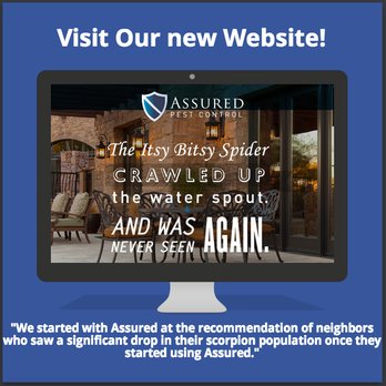 Assured Pest - Pest Control Near Me - Mesa, Arizona Assured Pest - Pest Control Near Me - Mesa, Arizona