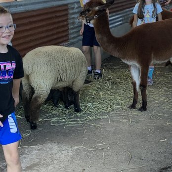 Velvet Acres Gardens - Sheep and alpaca - Fruits & Veggies Near Me - Vancouver, Washington Velvet Acres Gardens - Sheep and alpaca - Fruits & Veggies Near Me - Vancouver, Washington