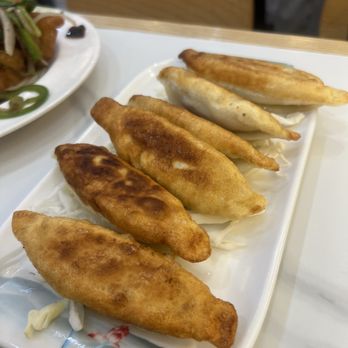 MY Dumpling - Fried Potstickers - Chinese Near Me - San Mateo, California MY Dumpling - Fried Potstickers - Chinese Near Me - San Mateo, California
