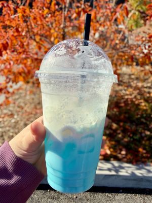 Scale House Market by null