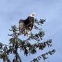 Photo of Alaska Travel Adventures