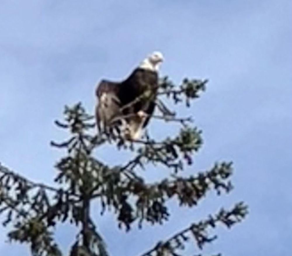 Social spots from Alaska Travel Adventures
