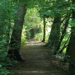 Wuppermann Park