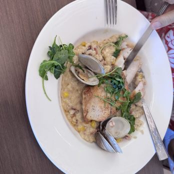 Oar & Iron - Grouper and clam risotto - American Near Me - Parrish, Florida