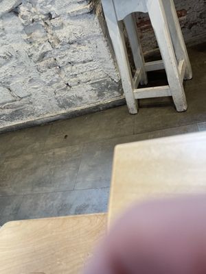 Melaleuca Firenze | Bakery Bistrot | Brunch & Specialty Coffee by null