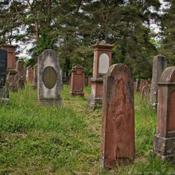 Jüdische Friedhof Laudenbach - Naturgräber (05/2018)