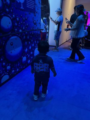 Bubble Planet: An Immersive Experience - Oakland by null