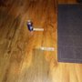 Photo of Carpet Direct