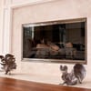 Commonwealth Fireplace & Grill Shop gift card