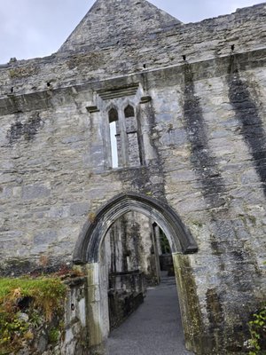 Muckross Abbey by null