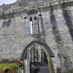 Muckross Abbey