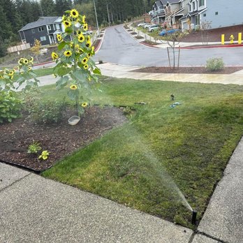 Javier Tree & Garden - Landscaping Near Me Javier Tree & Garden - Landscaping Near Me