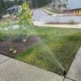 Photo of Javier Tree & Garden