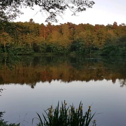 Steinbachtalsperre