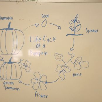 Learning Lab Preschool - The teachers have great art skills they like to share while incorporating into their lessons - Preschools Near Me - Irvine, California Learning Lab Preschool - The teachers have great art skills they like to share while incorporating into their lessons - Preschools Near Me - Irvine, California
