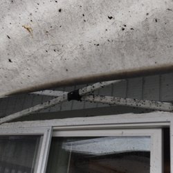 Grace Roof Cleaning
