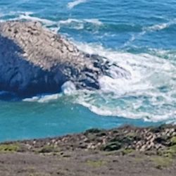 Point Sal State Beach - Lion Rock
