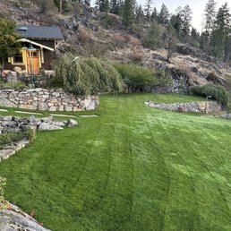 After another company burned our lawn, Senske has brought it back to life. It's never looked better!